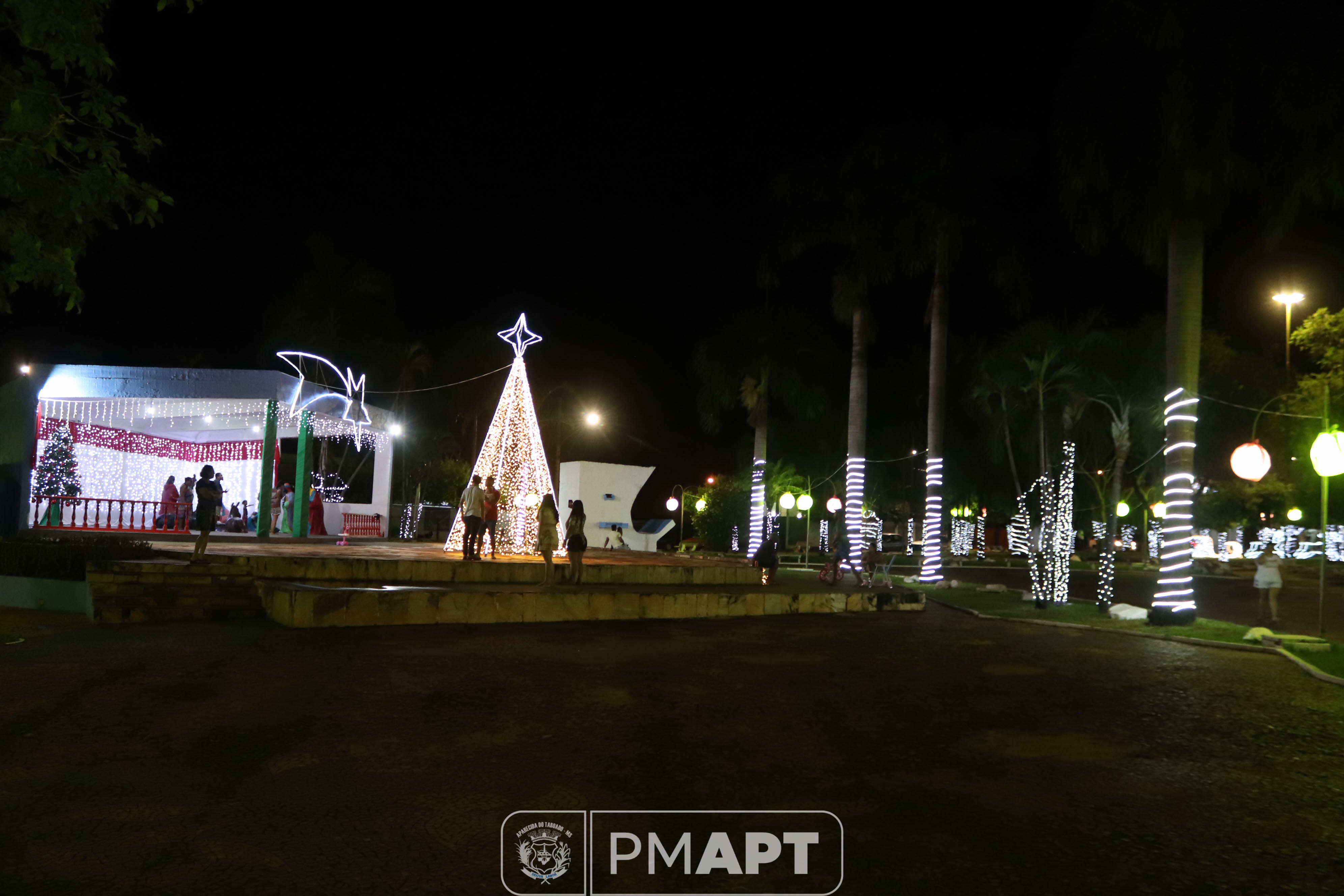 Natal (8)